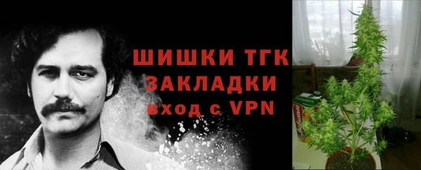 прущие грибы Алзамай
