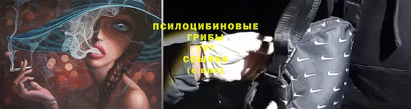 мяу мяу мука Абинск
