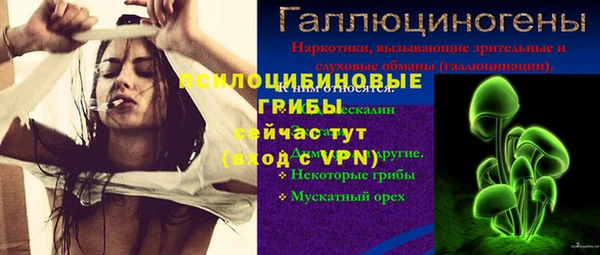 СК Абдулино