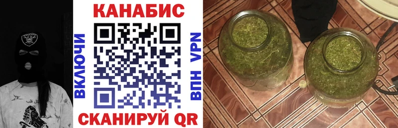 OMG вход  Западная Двина  Шишки марихуана индика 